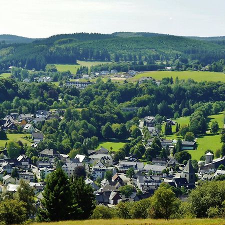 Ferienhaus Diemelquelle - Mit Eingezaeuntem Garten Willingen  Eksteriør billede