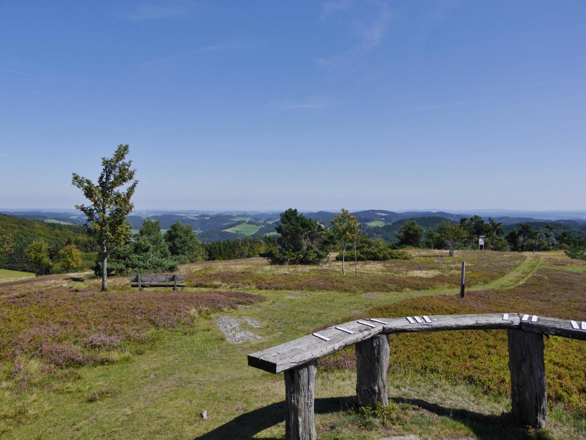 Ferienhaus Diemelquelle - Mit Eingezaeuntem Garten Willingen  Eksteriør billede