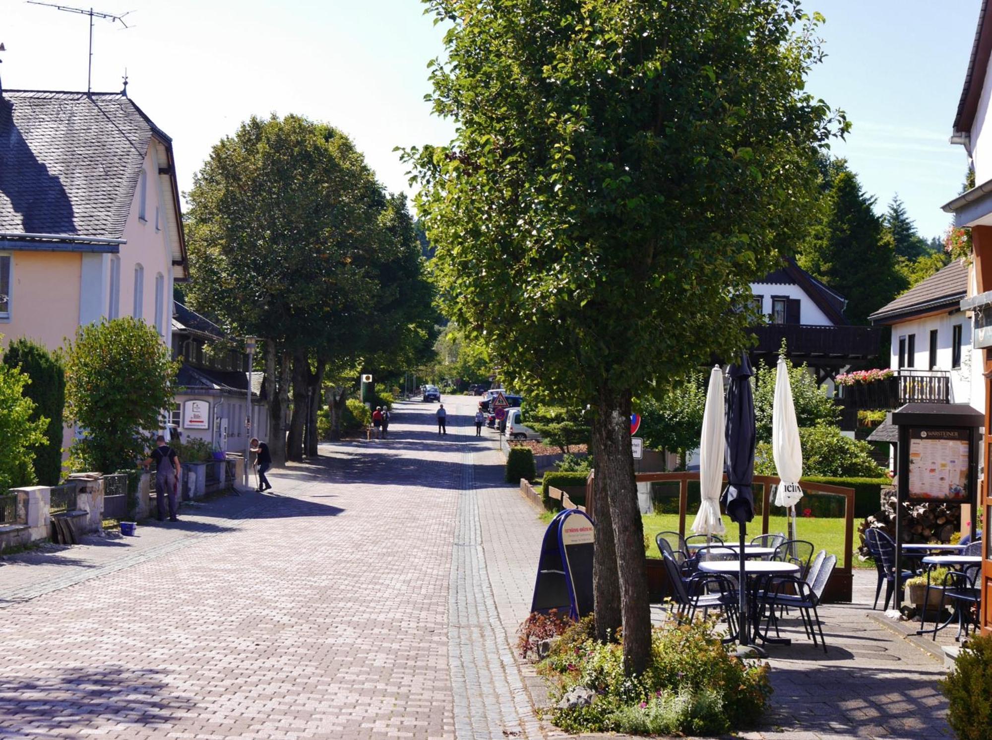 Ferienhaus Diemelquelle - Mit Eingezaeuntem Garten Willingen  Eksteriør billede