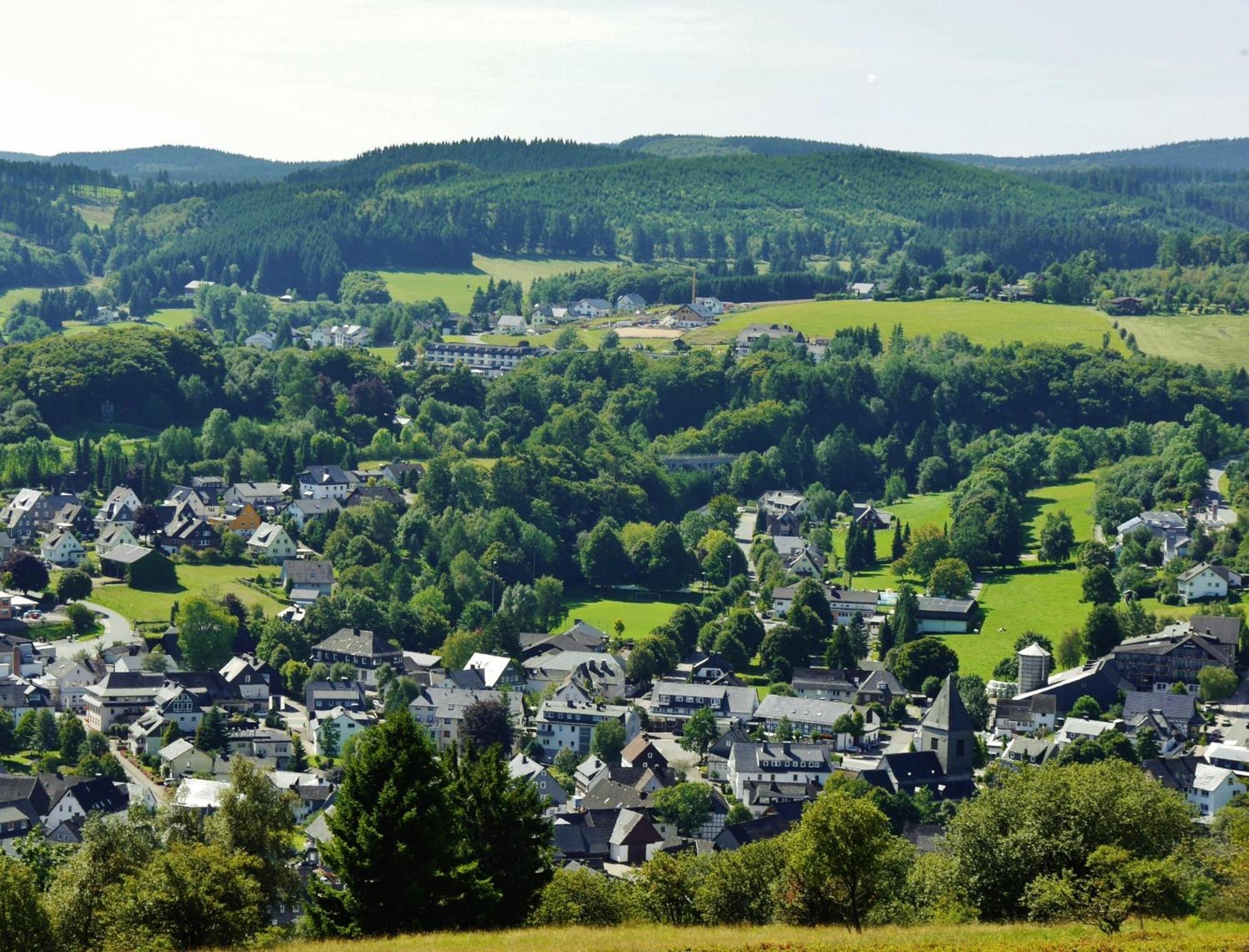 Ferienhaus Diemelquelle - Mit Eingezaeuntem Garten Willingen  Eksteriør billede