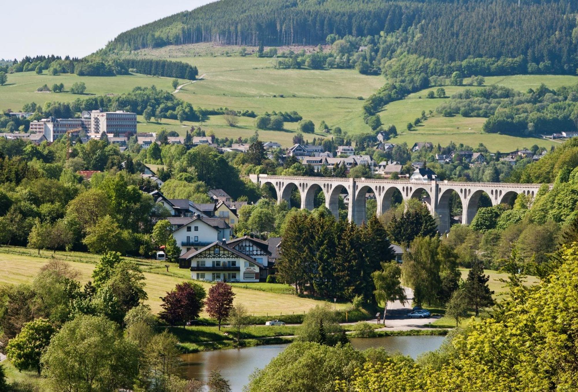 Ferienhaus Diemelquelle - Mit Eingezaeuntem Garten Willingen  Eksteriør billede